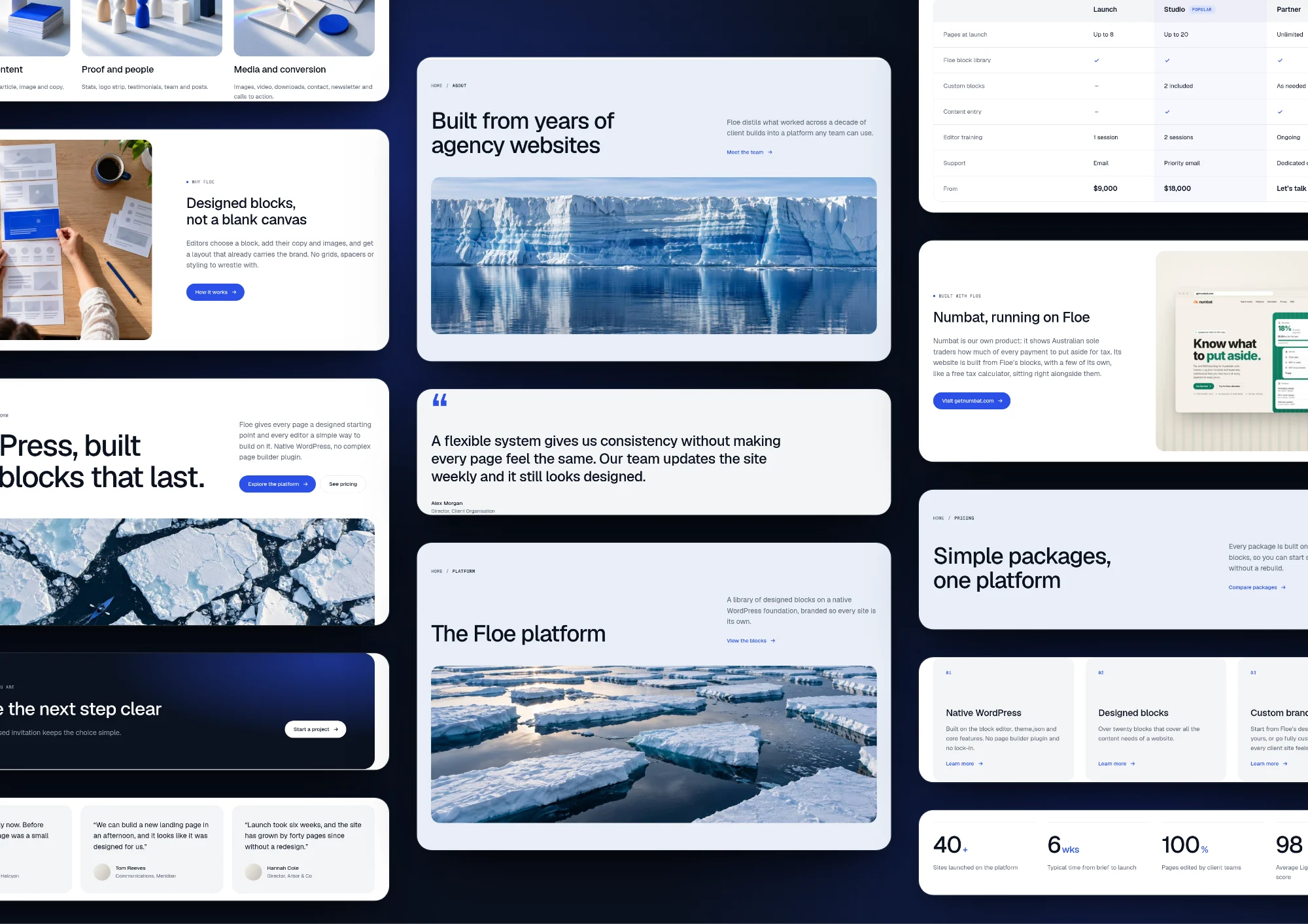 Floe blocks laid out as cards on a dark blue background